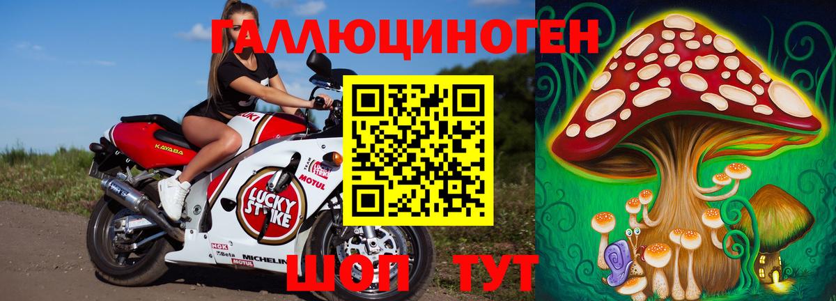 Нижний Тагил  Псилоцибиновые грибы Psilocybine cubensis  Вход с VPN 